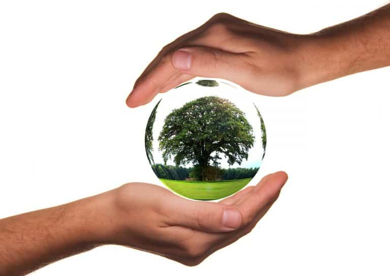 Emprendimiento social, la nueva tendencia para crear empresas