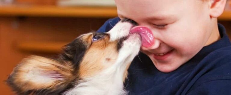 Vivir con mascotas trae efectos positivos para los niños